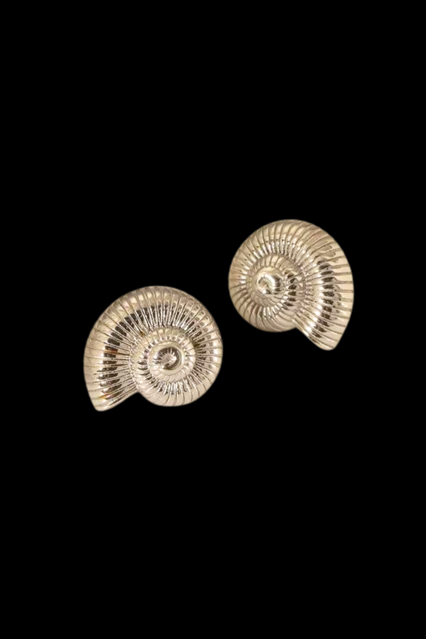 Shell By The Sea Earrings