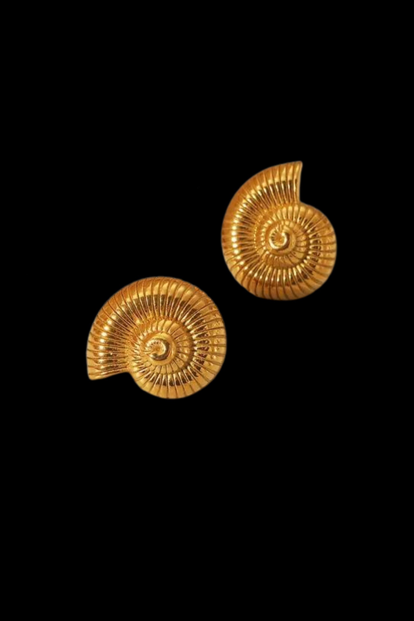 Shell By The Sea Earrings